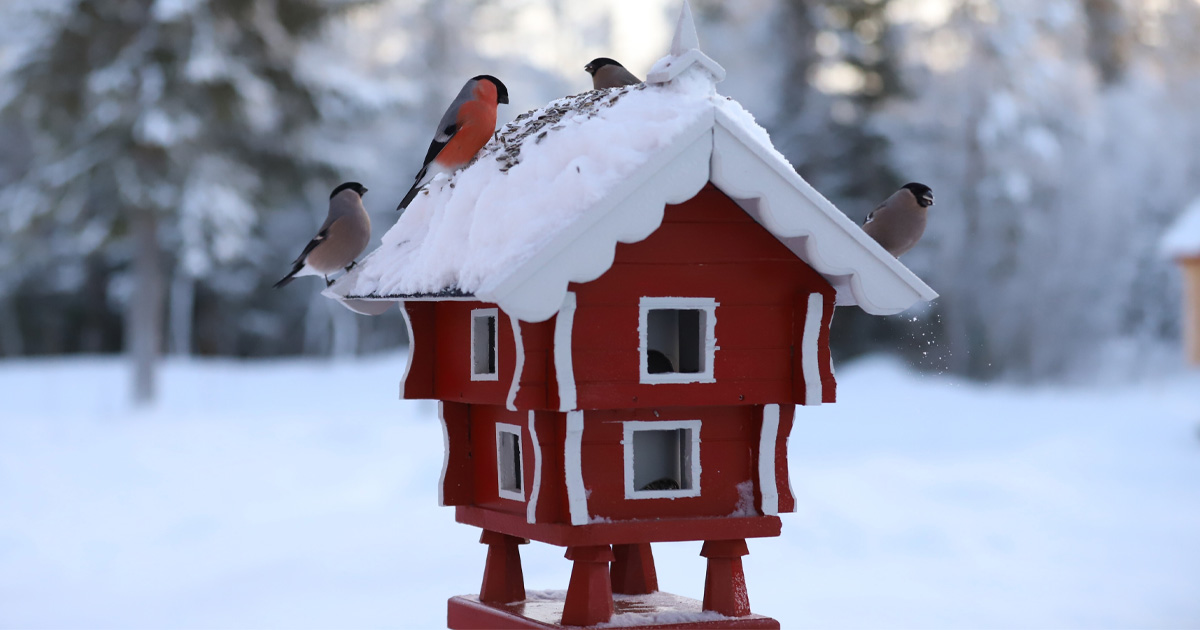 Finding the right buyer when you need to sell now for a smooth home cash deal